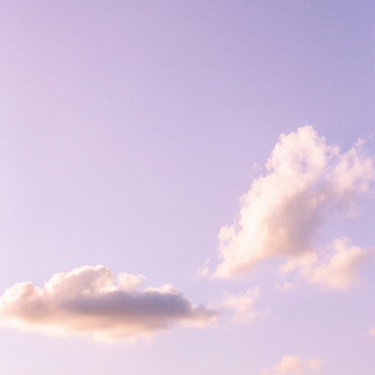 lilac skies